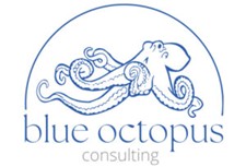 Blue Octopus Consulting logo. It is a stylized logo of an octopus outlined in blue under a curved blue line with text, "blue octopus consulting"